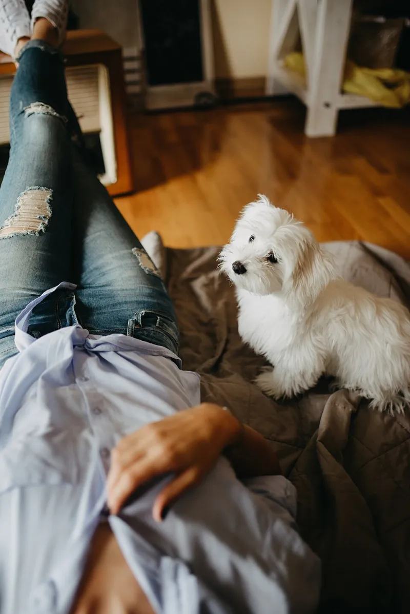 Your Brain on Feel-Good Films: Why Comfort Viewing Is Actually Good for You